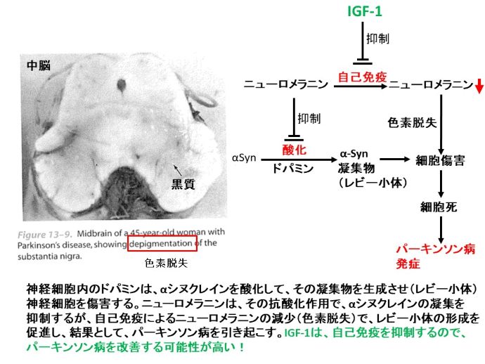 円形脱毛症　病院